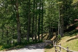 Turismo in montagna, Confesercenti Pistoia: “Giugno ha viaggiato alla grande, a luglio leggera flessione ma di nuovo sold out per Ferragosto”