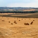 Confesercenti Siena: la bellezza ed il gusto, i siti Unesco e la cucina italiana al TTG di Rimini con le agenzie viaggi